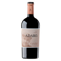 Adaro de Pradorey Ribera del Duero DO